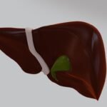 Liver Transplant and Biliary Sciences